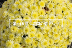 【「第115回笠間の菊まつり」が開催されています！（2022年10月22日～11月23日）】