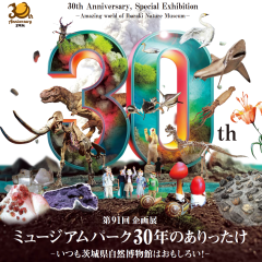 ミュージアムパーク茨城県自然博物館で企画展「ミュージアムパーク30年のありったけ　－いつも茨城県自然博物館はおもしろい！－」が開催されます（11/2～6/1）