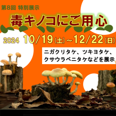 茨城県霞ケ浦環境科学センターで第8回特別展示「毒キノコにご用心」が開催されています（10/19～12/22）