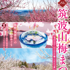 第52回筑波山梅まつりで「筑波山地域ジオパークの日」を開催します！（2/15）に関するページ